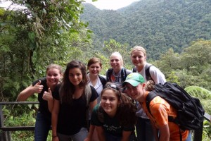 Hiking in rainforest Hiking in the rainforest