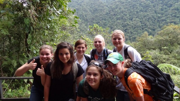 Hiking in rainforest Hiking in the rainforest