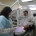 Free Care Day working on patients